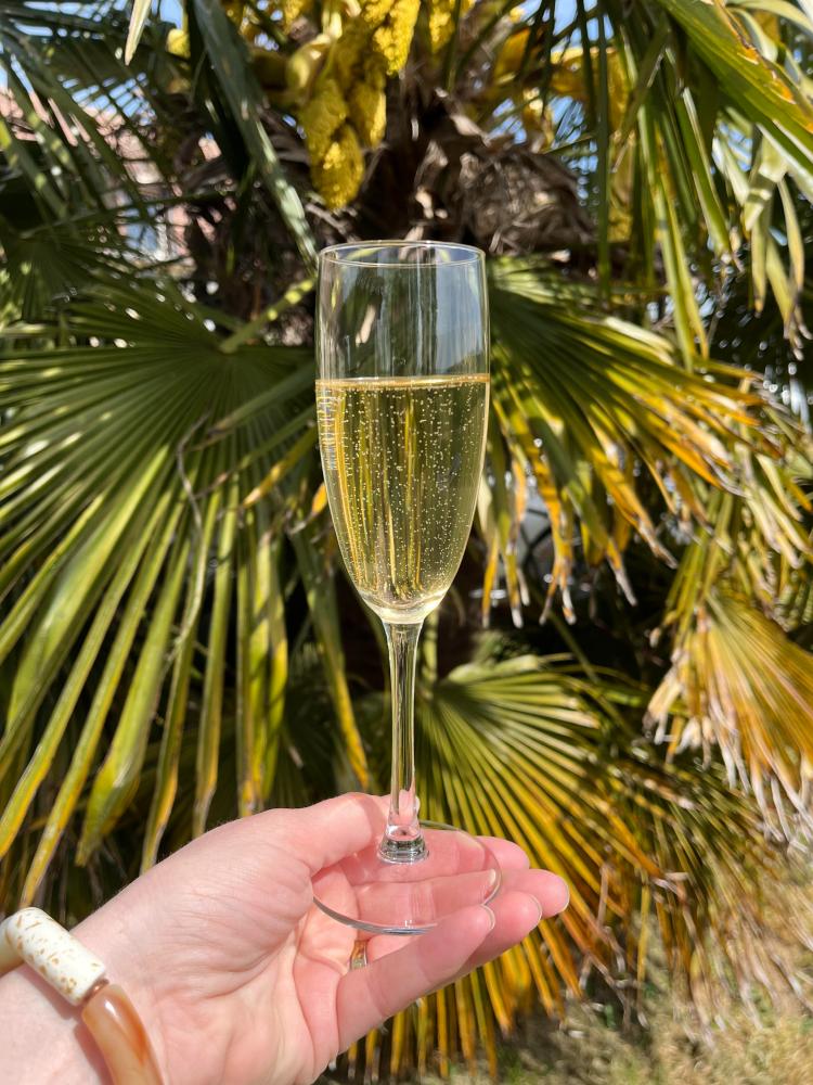 Comment bien choisir sa fl�te � champagne : guide complet pour sublimer vos d�gustations