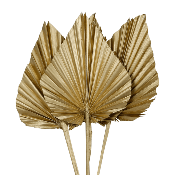 4 Feuilles de Palmiers Dorés en forme de lance H.55-60 cm