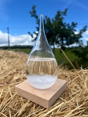 Verre Tempête - Baromètre à Cristaux - Goutte en Verre - Socle en Hêtre - H.17 x Ø 8,5 cm 