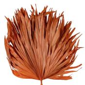 3 Feuilles de Palmier Séchées Orange H.40-50 cm - Déco Exotique 
