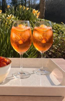 6 Verres à Vin Concave Design 36 cl ORPEA