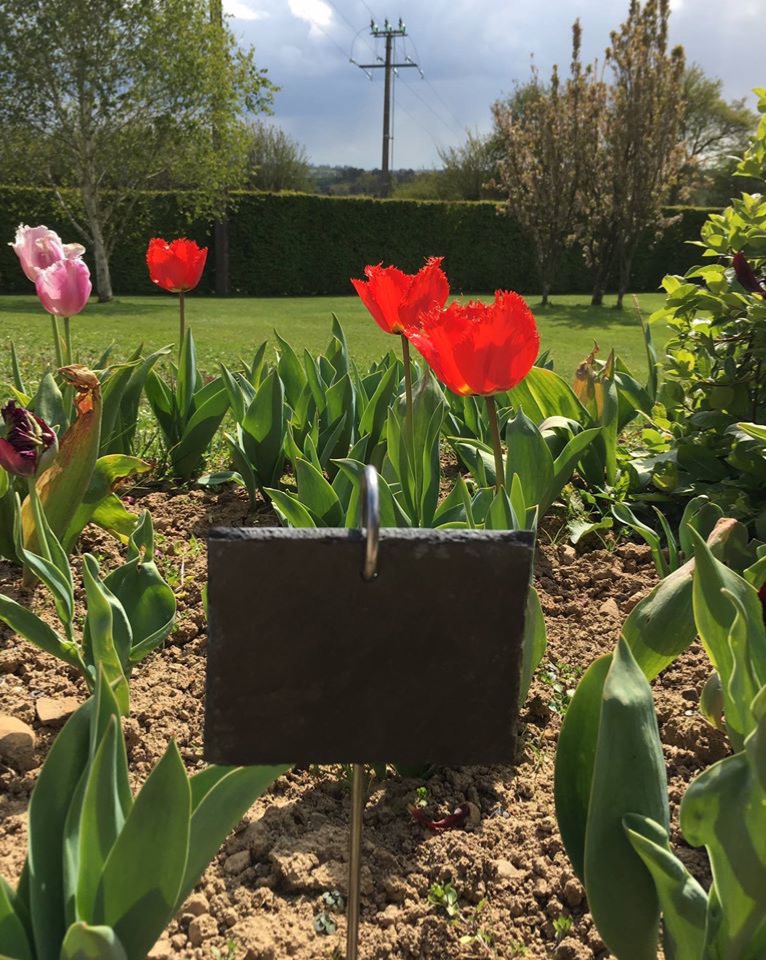 Etiquette en Bois et Ardoise à planter : H.14,4cm, 6,1x3cm