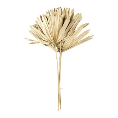 3 Feuilles de Palmier Dorées Séchées Pointues H.50 cm 