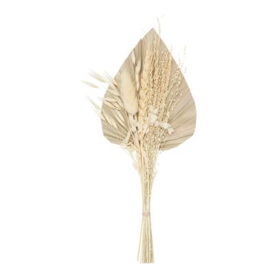 Mini Bouquet Palme Verte & Fleurs Séchées Beige – H.31 cm