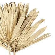 3 Feuilles de Palmier Dorées Séchées Pointues H.50 cm 